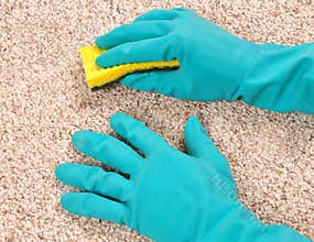 Cleaning the carpet