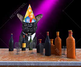 Funny Happy Birthday Party Dog, Drinking, Alcohol