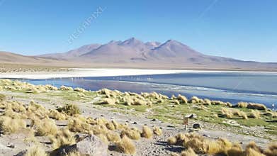 Gorgeous landscapes of Sur Lipez, South Bolivia.