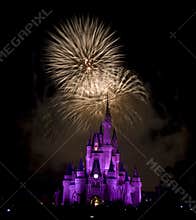 Disney`s Firework