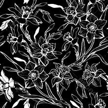 Monochrome graphic seamless pattern with hand drawn flowers daffodils.