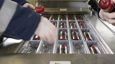 Hands of workers put fresh sausage into trays for Vacuum packaging. Vacuum Packaging of Processed Meat. Meat industry