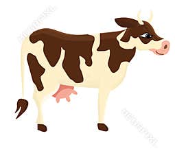 Cow. White cow with brown spots. Hoofed horned pet.