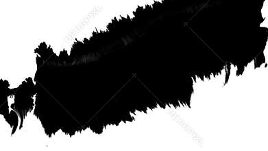 Ink flowing on white background