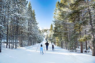 Family cross-country skiing in Breckenridge.