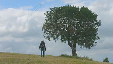 Male tourist hiking with rucksack on back, man walking past tree, backpacking