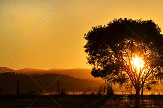 Stunning sunset sun setting behind tree, mountains rural Australia