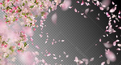 Spring Cherry Blossom