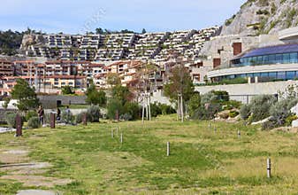 Grass Area in Portopiccolo near Trieste