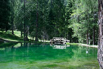 The small bridge on the emerald lake path a summer day