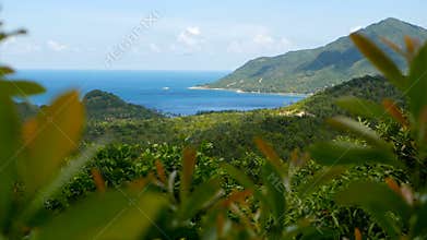 Tropical Rain Forest Landscape with volcanic mountains above the lush green jungle of exotic island.