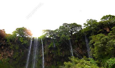 Autumn season Salalah in Saltanat Oman