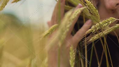 Fertility woman's health, female touches wheat crops, dreaming sad memories