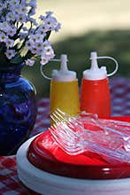 Picnic Supplies