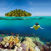Corals, diver and palm island