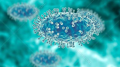 Monkeypox virus is a smallpox-like viral infection transmitted from animals to humans