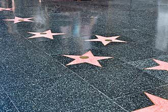 Stars on the Hollywood Walk of Fame
