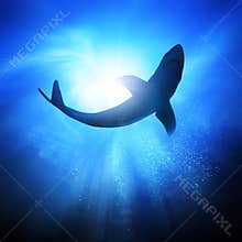 Under The Waves