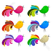 Beautiful birds