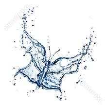 Butterfly from water splash isolated on white