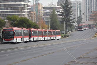 Urban Buses
