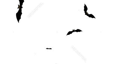 Happy halloween. Flock of flying bats