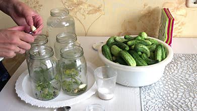 A woman adds garlic to cucumber pickling jars. Nearby in a basin are cucumbers, in containers of seasoning for cooking