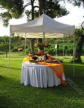 Catering, wedding banquet reception