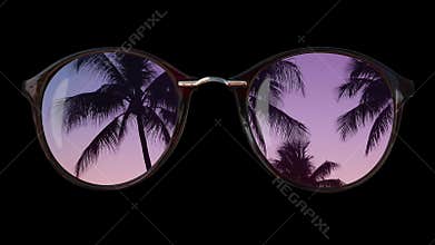 Tropical Palm Trees Reflected In Sunglasses