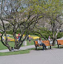 Ottawa Tulip Festival 2012 - Sitting in Park