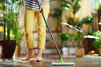 Housewife in house in sunny day housecleaning