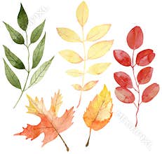 Watercolor set of colorful autumn leaves. Fall illustration. Hand-drawn yellow, red and orange leaves.