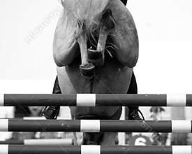 Horse Jump