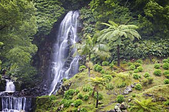 Azores: Waterfall