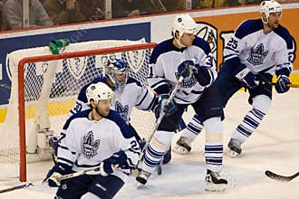 The Maple Leafs Look For The Puck