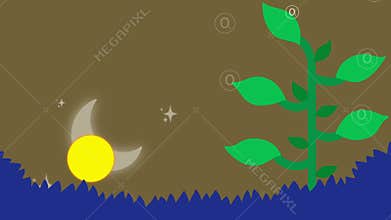 Photosynthesis and cellular respiration comparison illustration