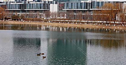 CBD lakeside scenery in early spring and March.