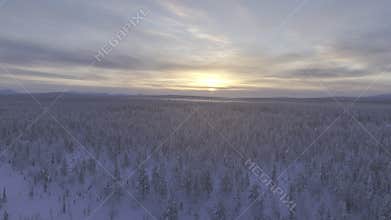 Finnish toundra in the Urho Kekkonen Park panoramic aerial view