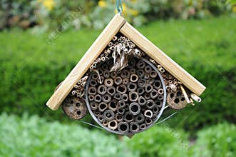 Insect hotel