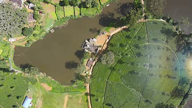 Beautiful scenery with small village amidst the beautiful tea hills