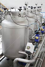 Containers with different starter cultures for beer