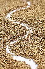 Pathway through gold
