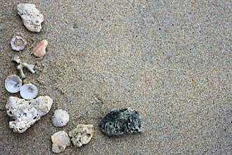 Shells and pebbles borders