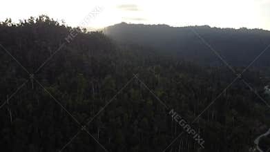 Philippine Paradise: Aerial Drone Views of Stunning Sunsets, Sunrises, and Tropical Beaches with Palm Trees