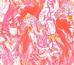 Abstract acrylic liquid pouring seamless texture in peach fuzz tones.