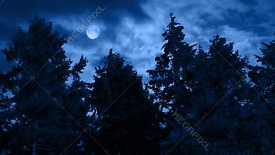 Lightning Over Tree Tops On Stormy Night