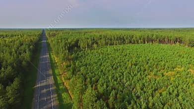 Country road among forest at autumn day. Aerial