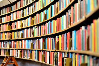 Public library bookshelf