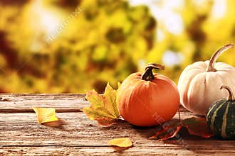 Colorful fall harvest