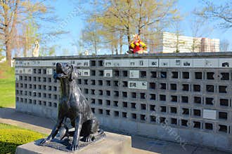 Pet Cemetery